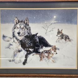 Dave Merrick Framed Print "Family Outing"