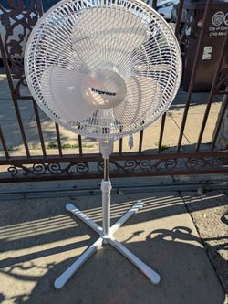 Fan