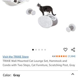 Wall Climbing System