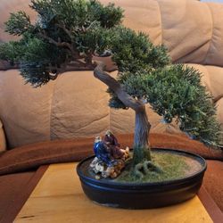 Decorative Bonsi Tree