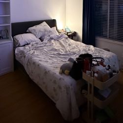 Free Queen Bed Frame 