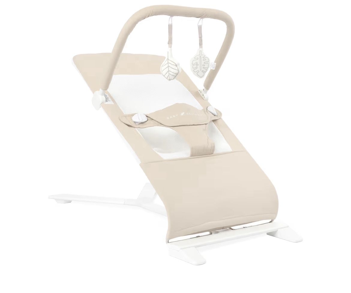 Baby Delight Bouncer 