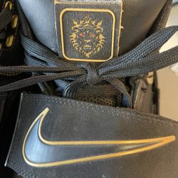 Nike Zoom Lebron James Soldier 10.5