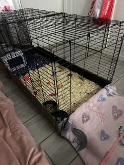 Cage