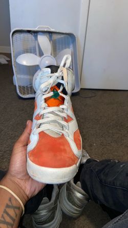 Jordan 6