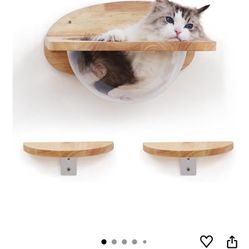 Cat Shelving