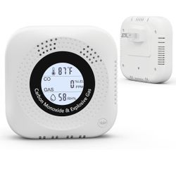 4-in-1 natural gas detector and carbon monoxide detectors