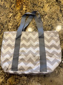 Insulated Lunch Bag **LIKE NEW**