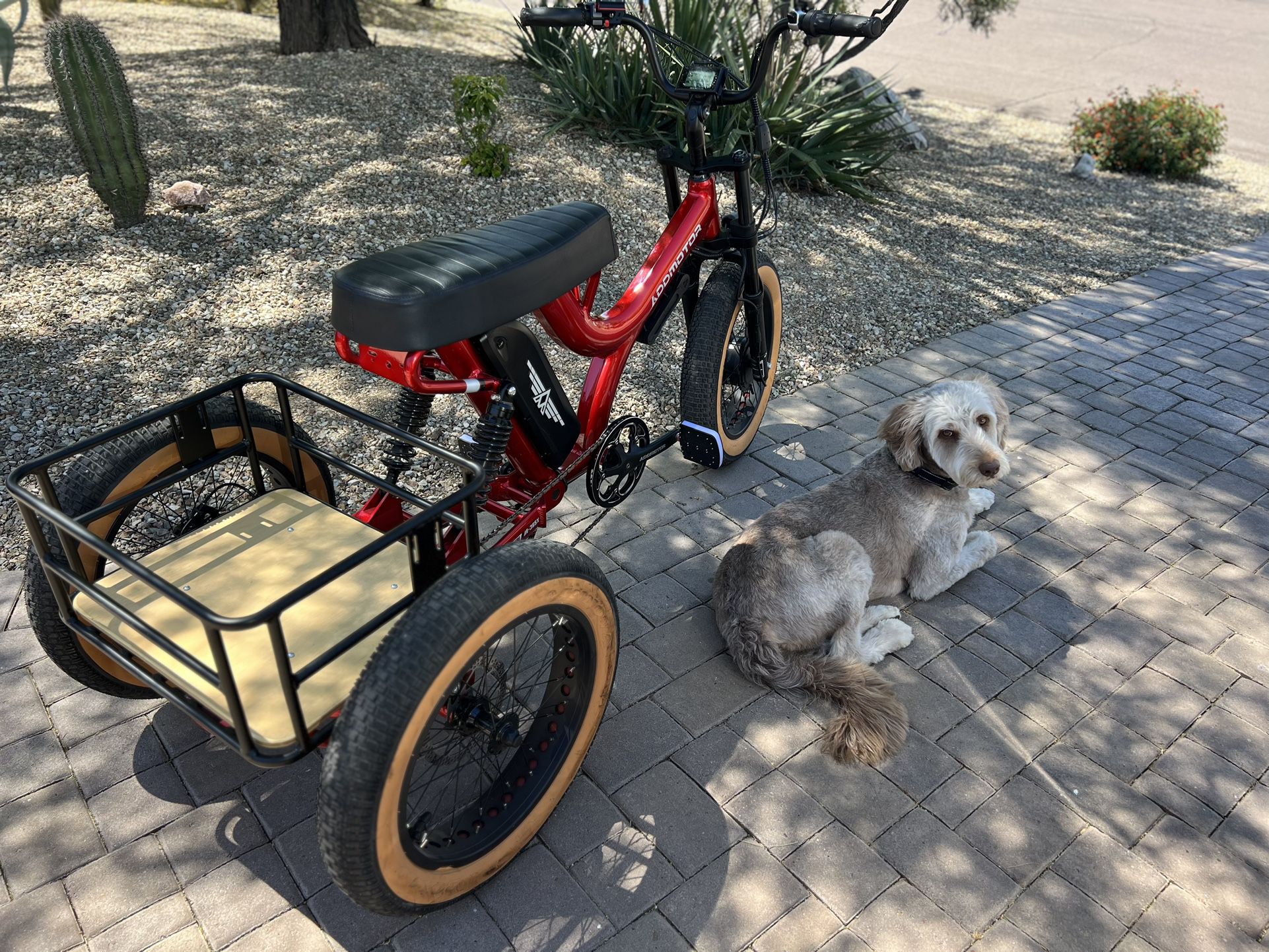 Electric 3 Wheel Bicycle-Full Suspension 