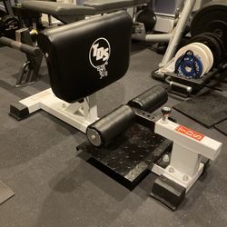TDS Sissy Squat Bench Machine - Brand New Condition