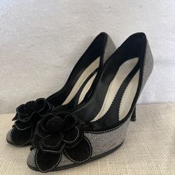 Collection Fifty Nine