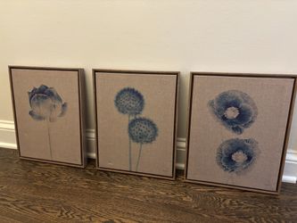 Set Of 3 Floral Prints