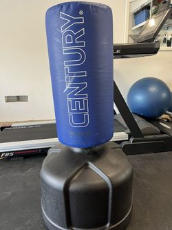 Century Wave Master Punching Bag