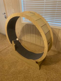 Cat exercise wheel