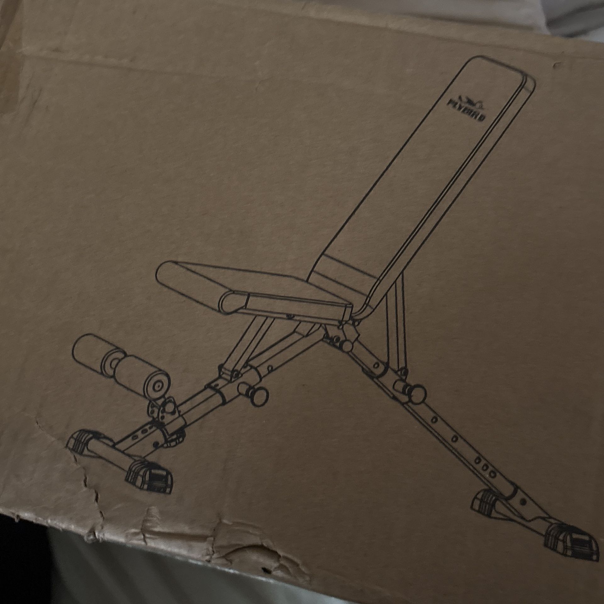 flybird weight bench