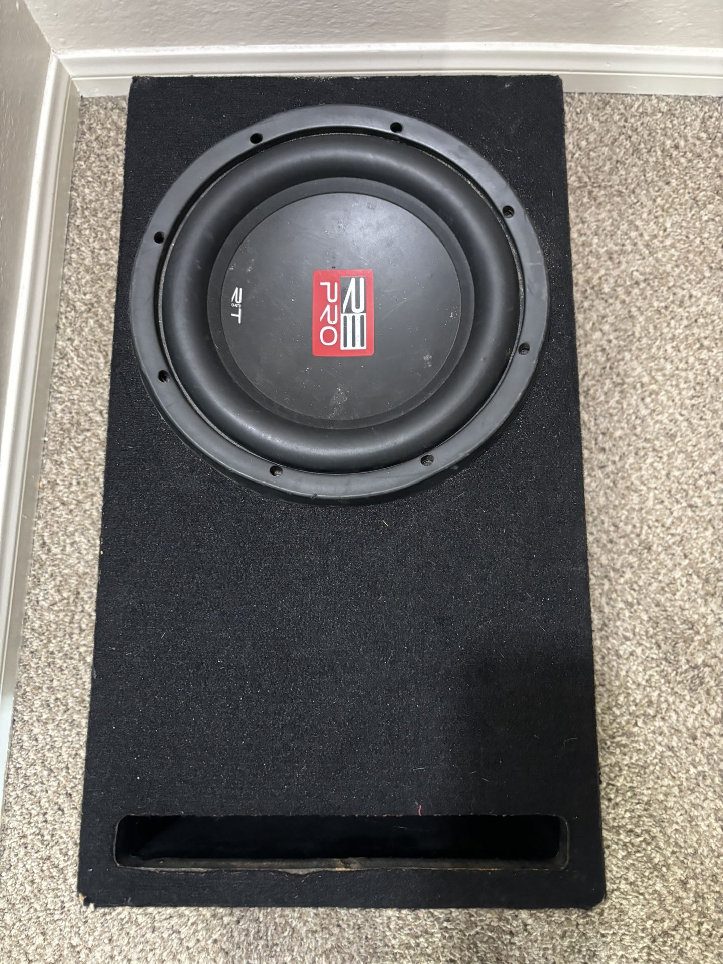 RE AUDIO RT PRO 10” Sub