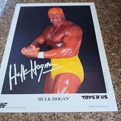 Collectible Photo Toys R Us edition 