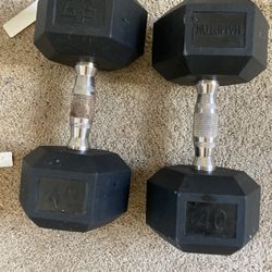 40 Lbs  Dumbbells 