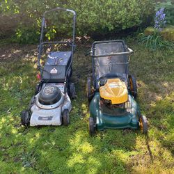 2 FREE Lawn Mowers - 1 Electric - 1 Gas