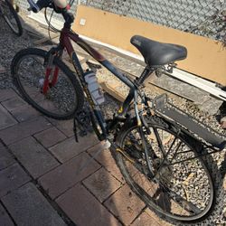 Gary Fisher Mountain Bike Xl