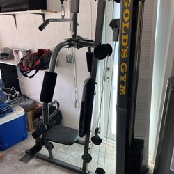 Gold Gym Work Out Bench 