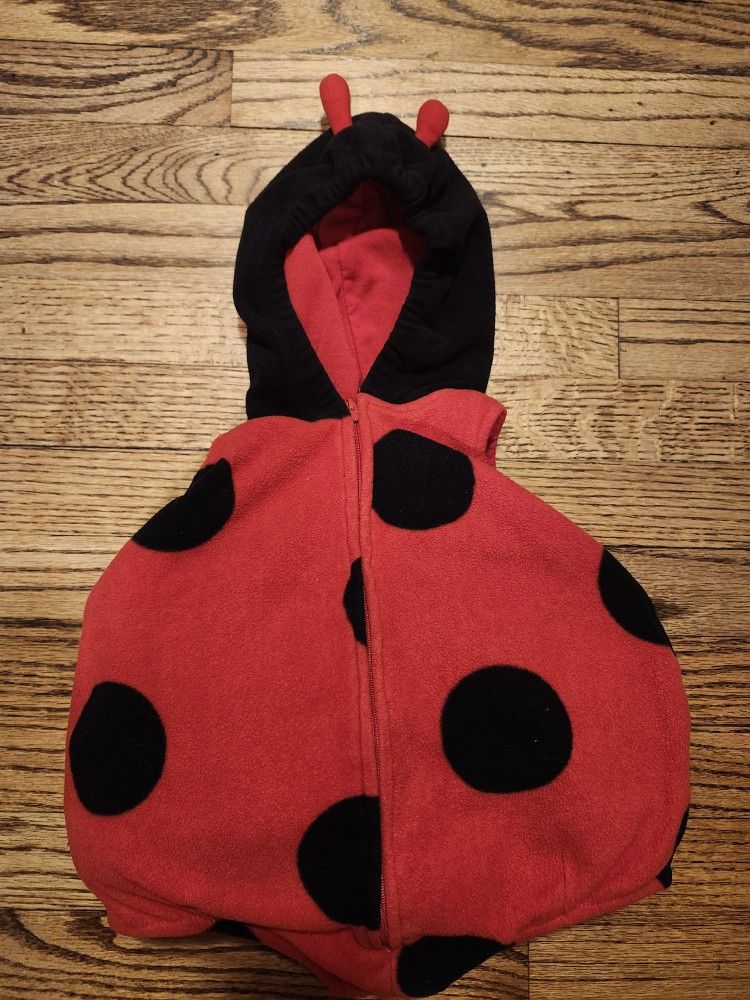 Ladybug Baby Halloween Costume