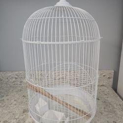 Bird Cage  