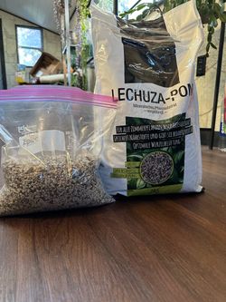 Lechuza pon
