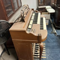 Orga-Sonic Organ