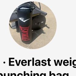 Everlast Punching Bag 100lb 