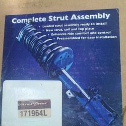 Complete Strut Assembly 