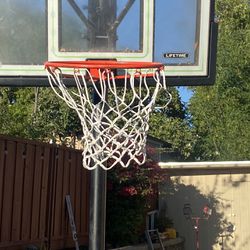 Lifetime Basketball Hoop For Sale 
