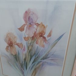 1986 Iris Framed Print