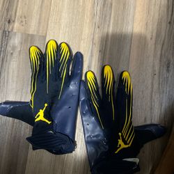 michigan gloves