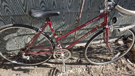 1981 Woman schwinn world sport