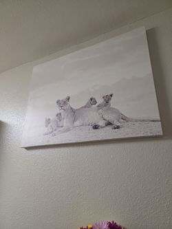 Frame