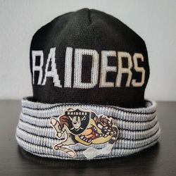 Looney Tunes TAZ "Vintage" Beanie 