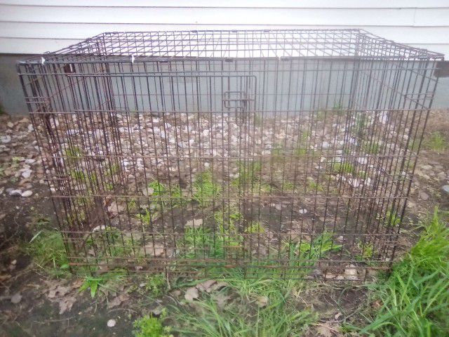 Black Metal Dog Crate 2ft 8in High  By 4ft Across