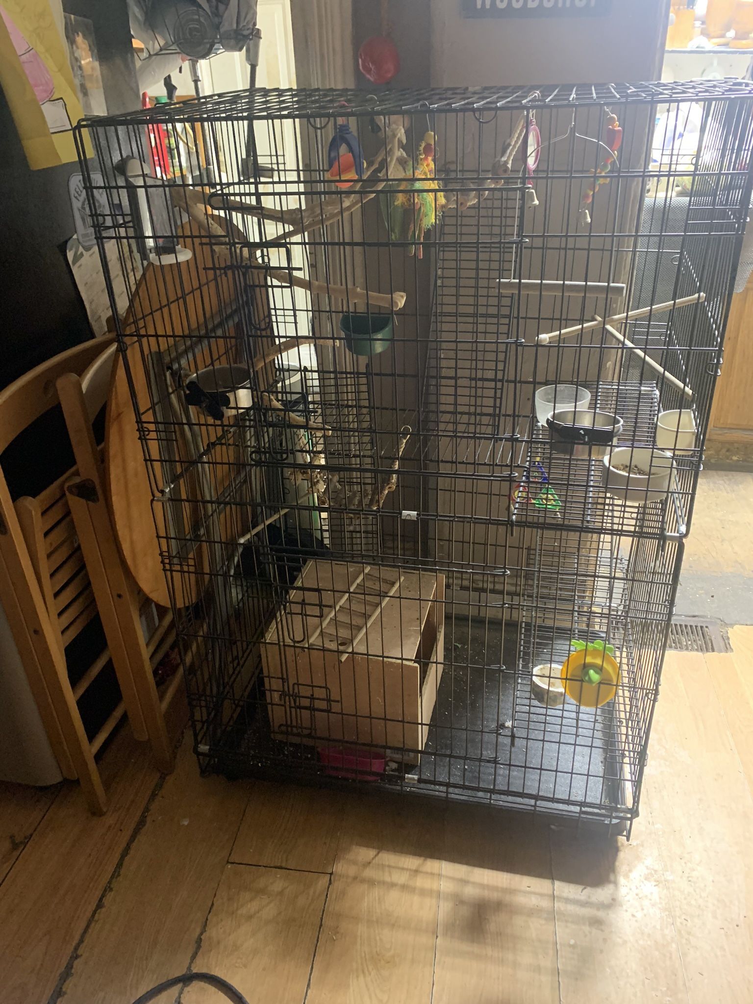 Bird Cage