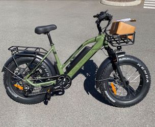 M2S All Terrain Scout  E-Bike (Green)
