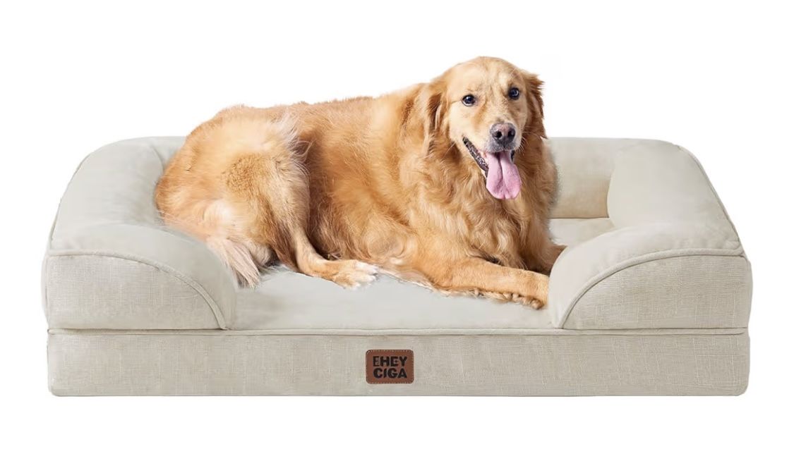 Bed For Large Dogs