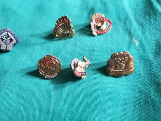 Moose Lodge Pins,  Little League Baseball Pins,  Random Pins 