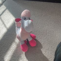 Pink Camel