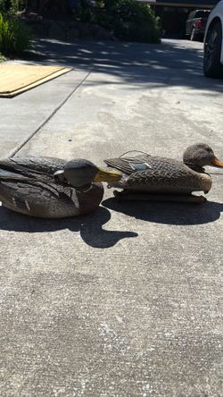Duck and Geese Decoys