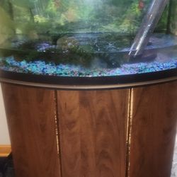 50 Gallon Fish Tank
