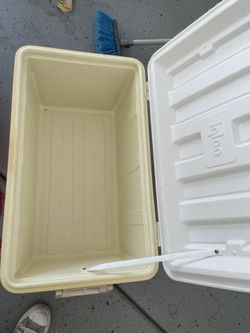 Igloo Cooler 