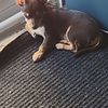 Sam