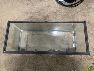 20 gallon reptile tank