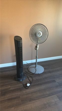 Fan