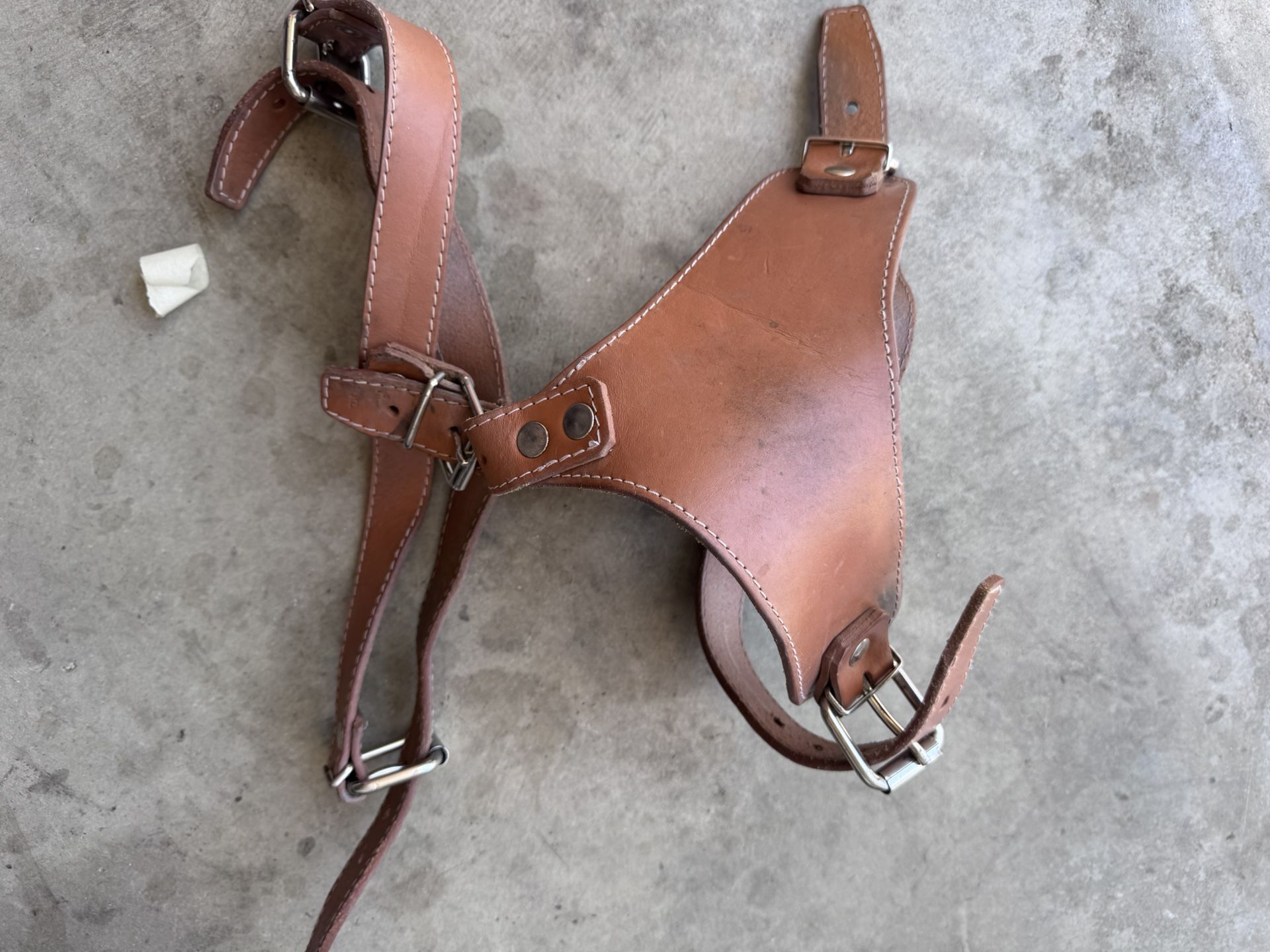 Leather Dog Harness
